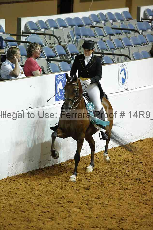 Proof Number 14r9_0755