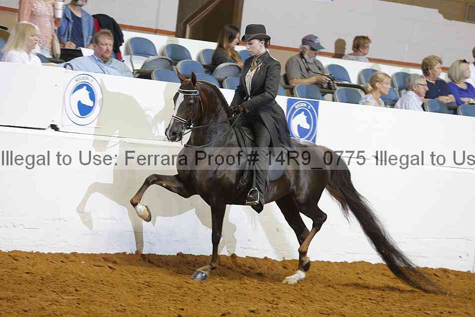 Proof Number 14r9_0775