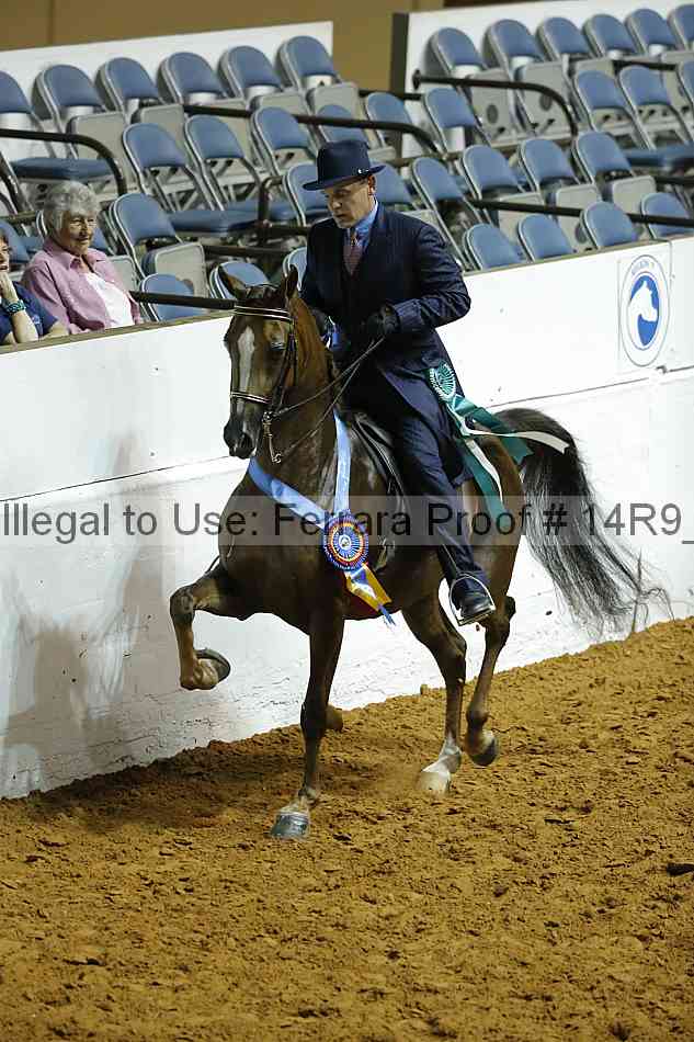 Proof Number 14r9_0787