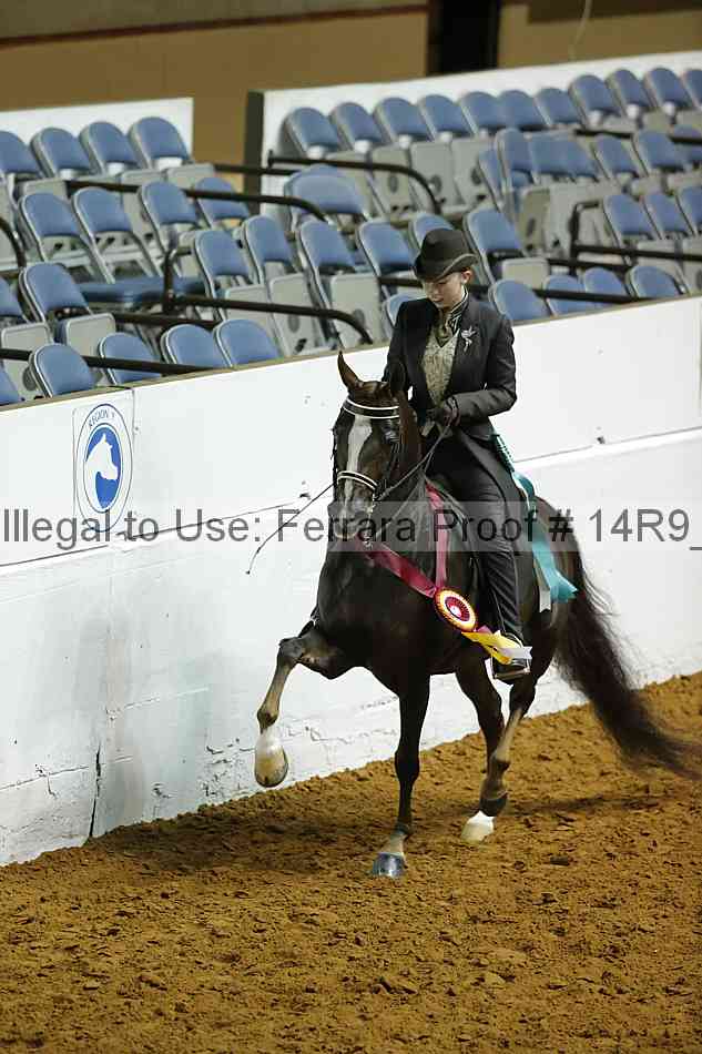 Proof Number 14r9_0796