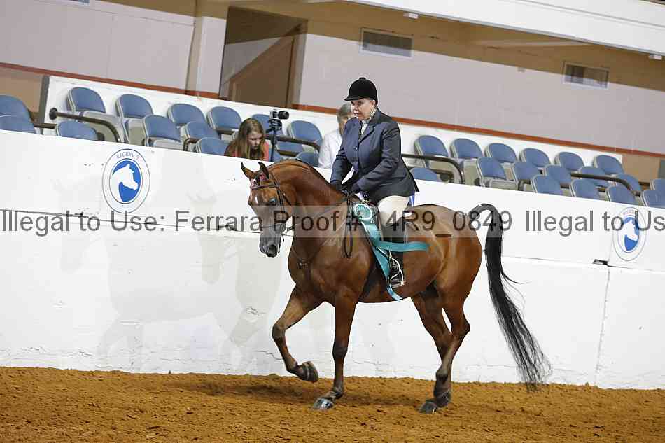 Proof Number 14r9_0849