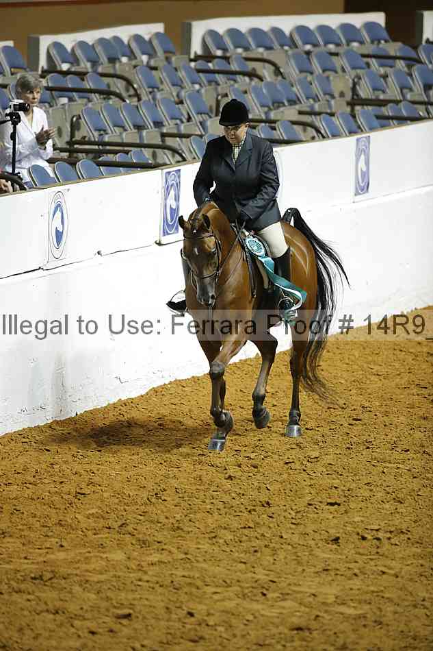 Proof Number 14r9_0851