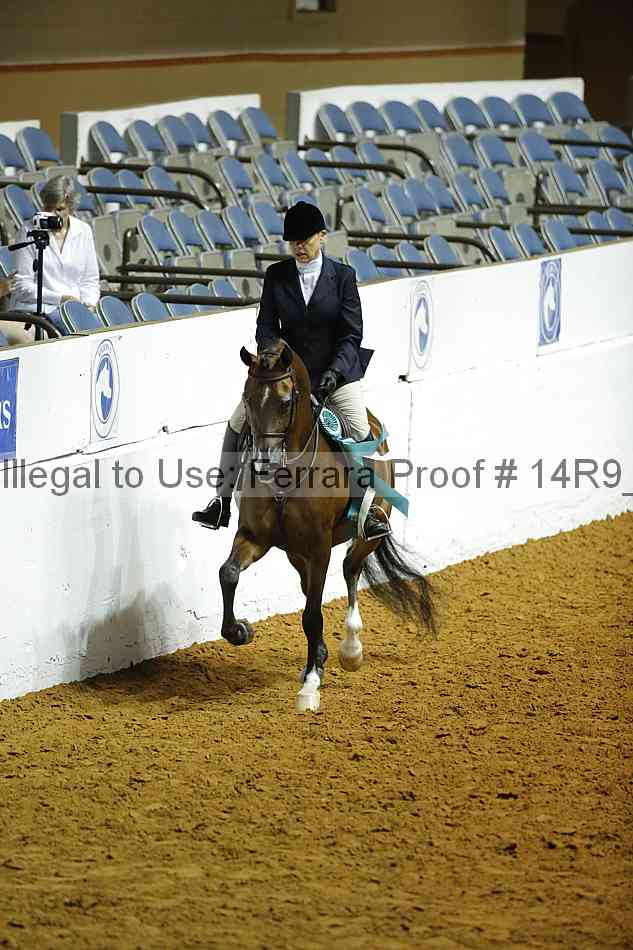 Proof Number 14r9_0855