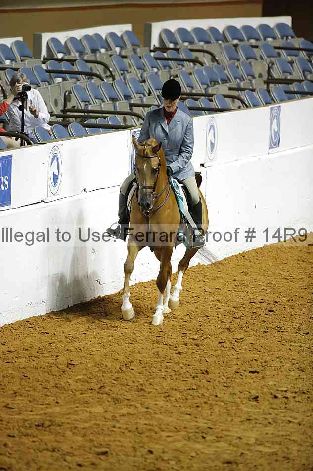 Proof Number 14r9_0858