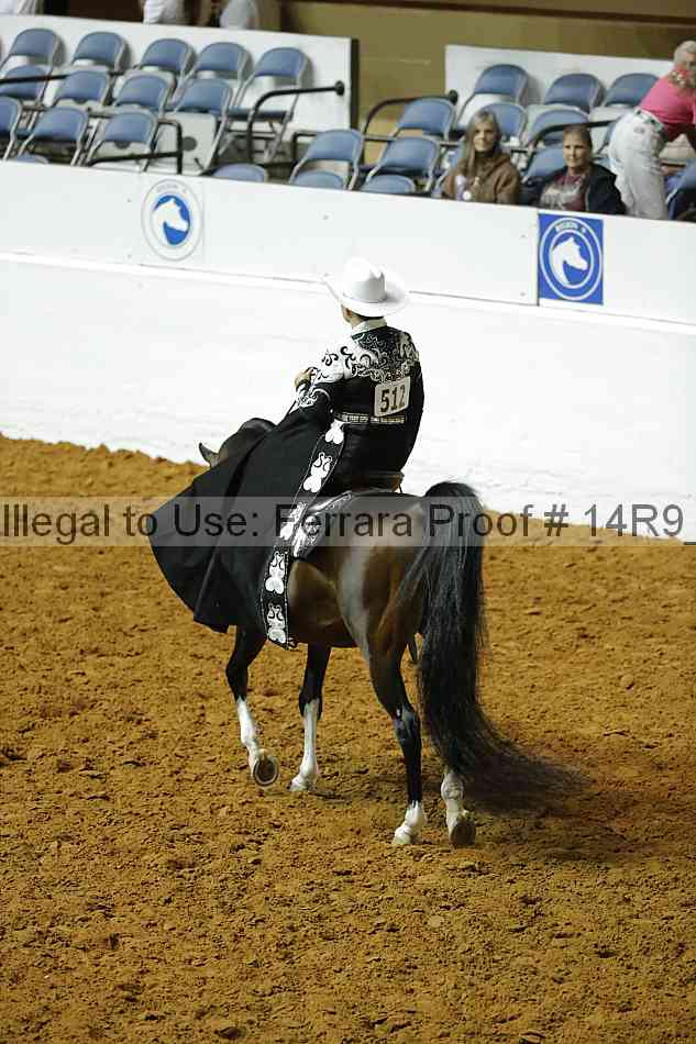Proof Number 14r9_0867