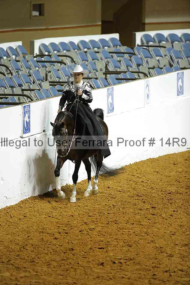 Proof Number 14r9_0870
