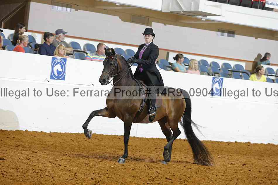Proof Number 14r9_0904