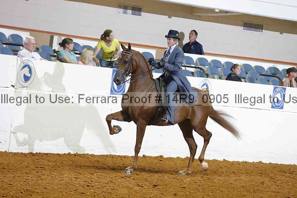 Proof Number 14r9_0905
