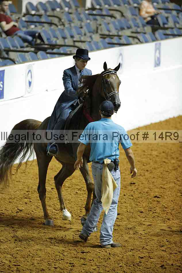 Proof Number 14r9_0943