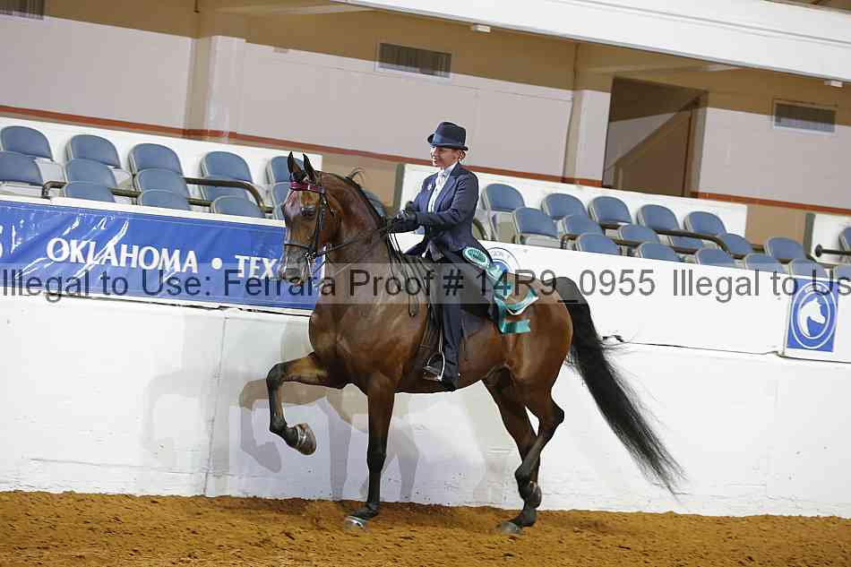 Proof Number 14r9_0955