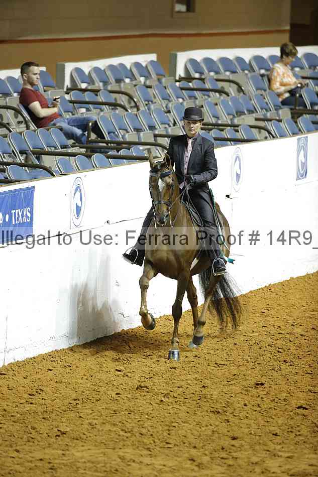 Proof Number 14r9_0964