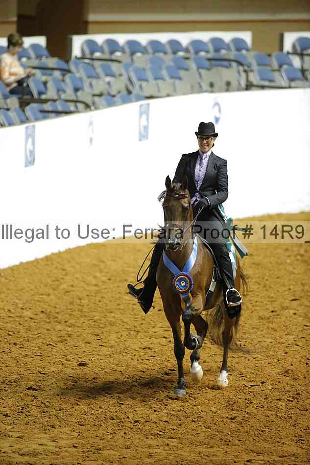 Proof Number 14r9_0976