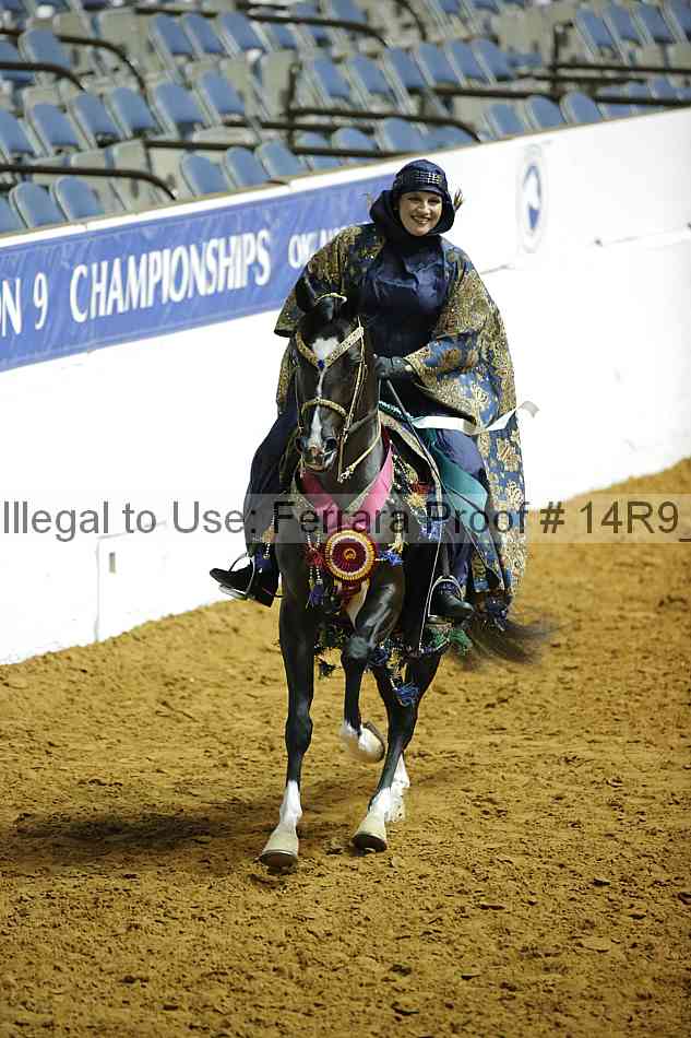 Proof Number 14r9_1019