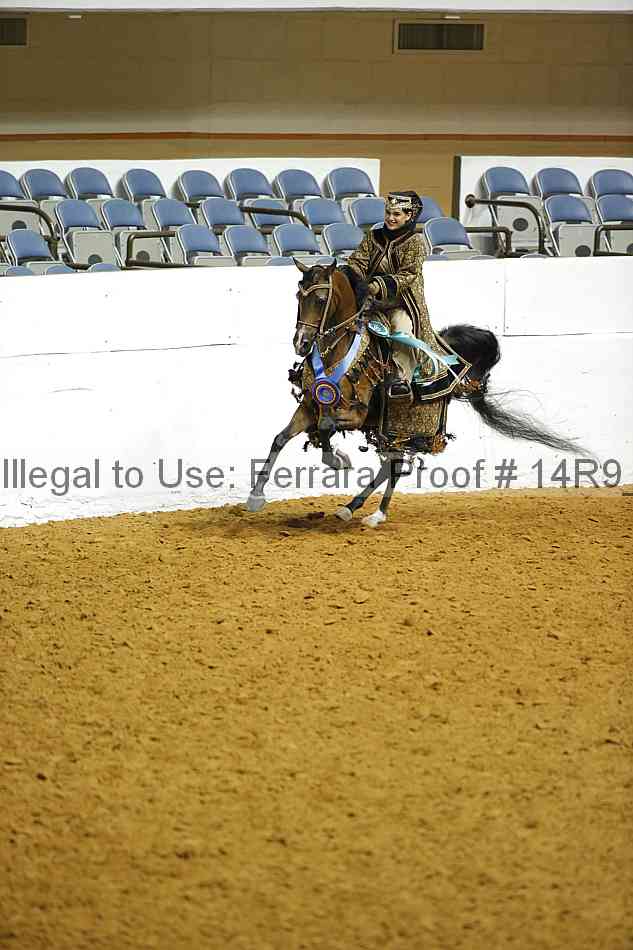 Proof Number 14r9_1021