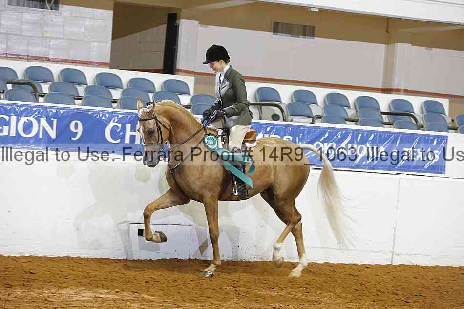 Proof Number 14r9_1063