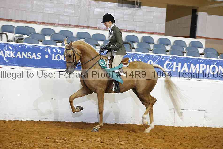 Proof Number 14r9_1064