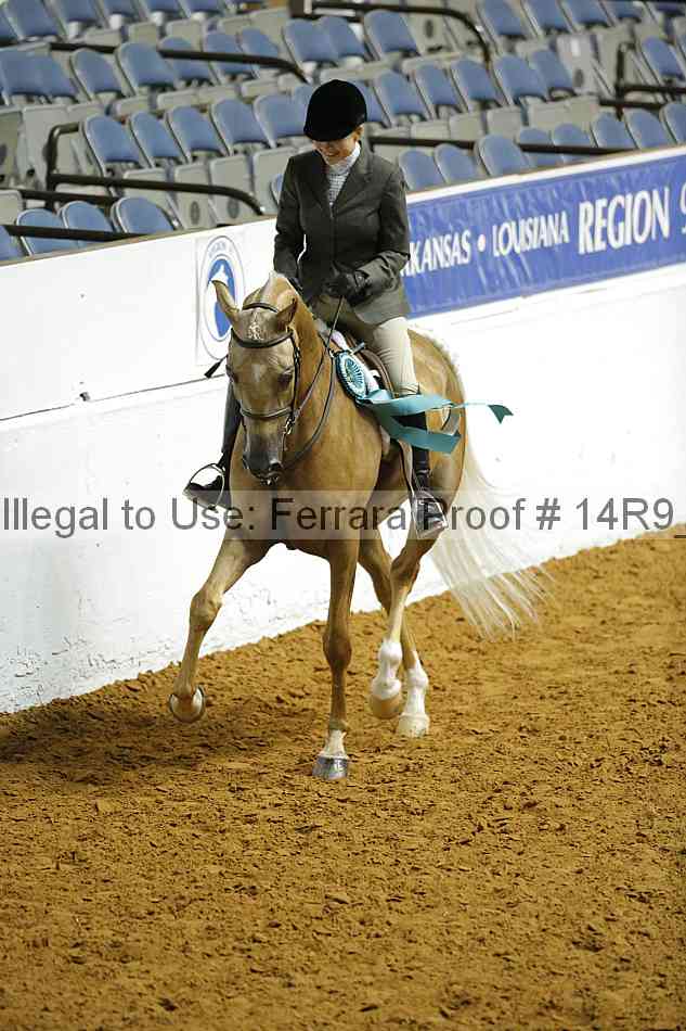 Proof Number 14r9_1066