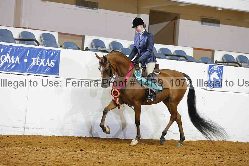 Proof Number 14r9_1072