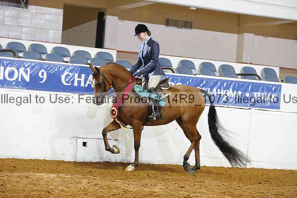 Proof Number 14r9_1073