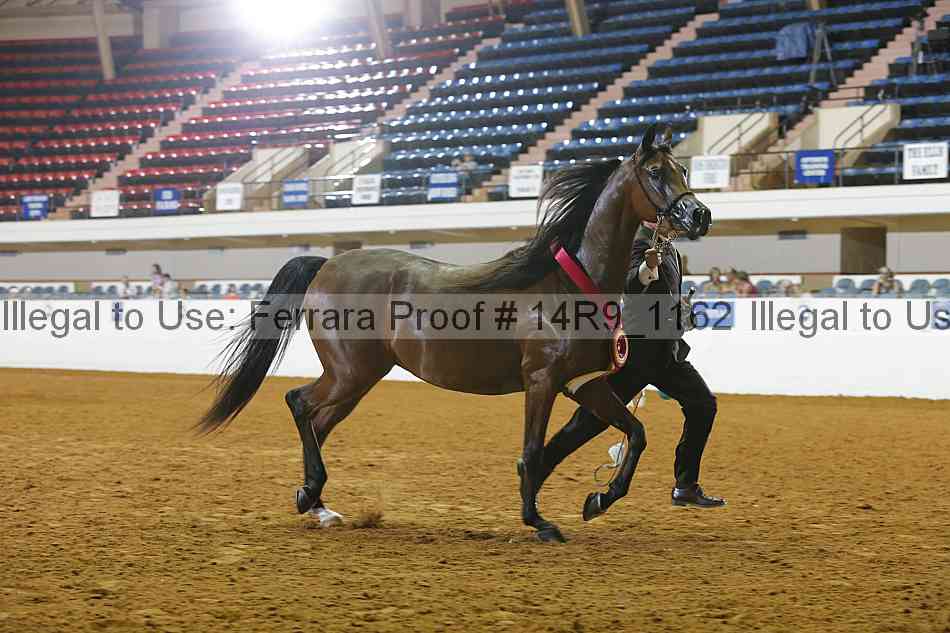 Proof Number 14r9_1162
