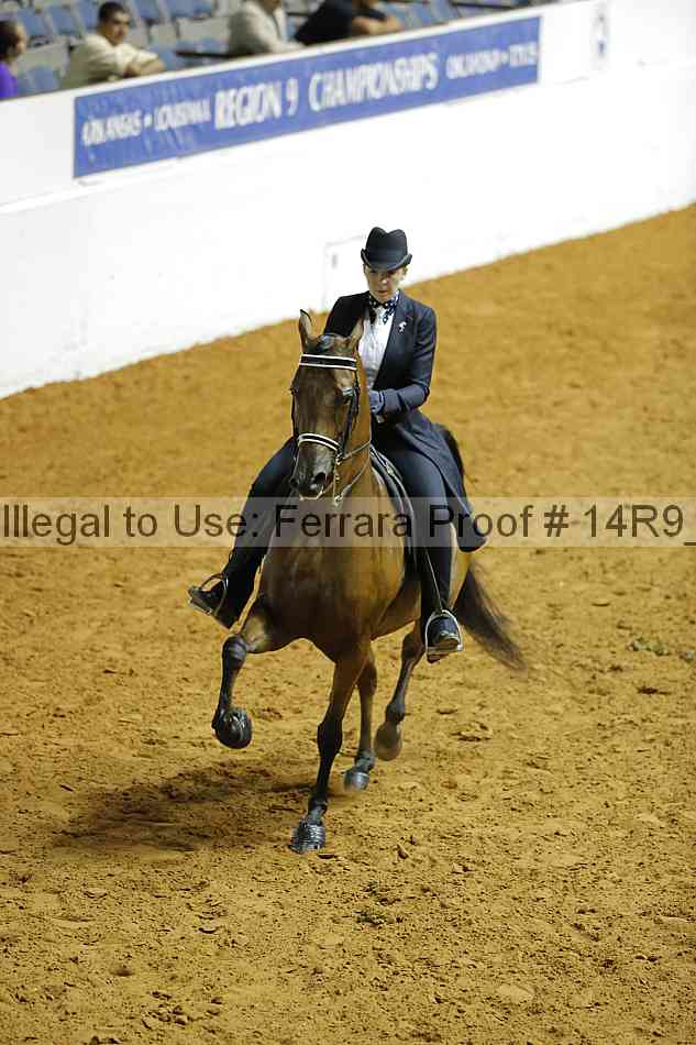 Proof Number 14r9_1207
