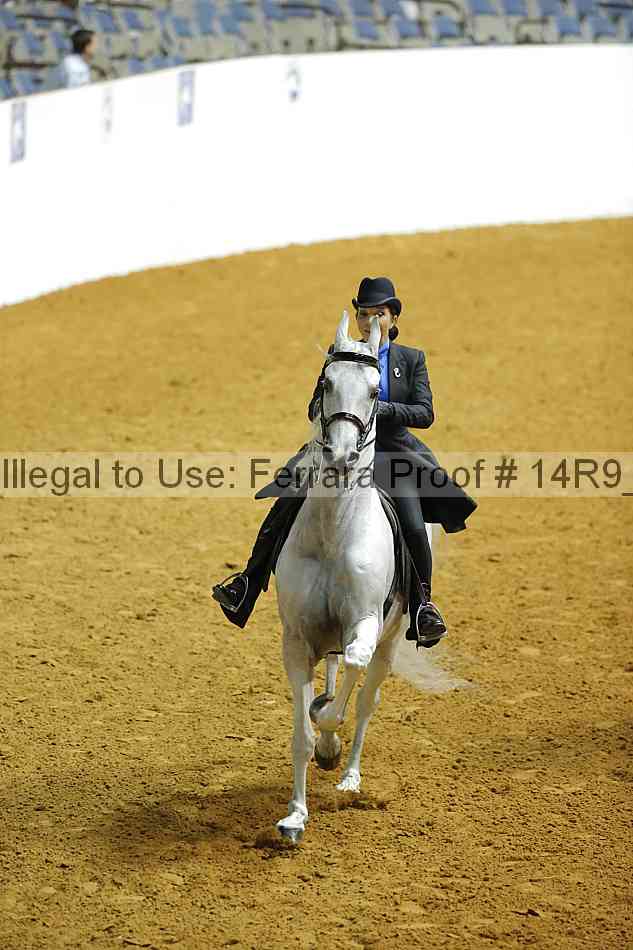 Proof Number 14r9_1214