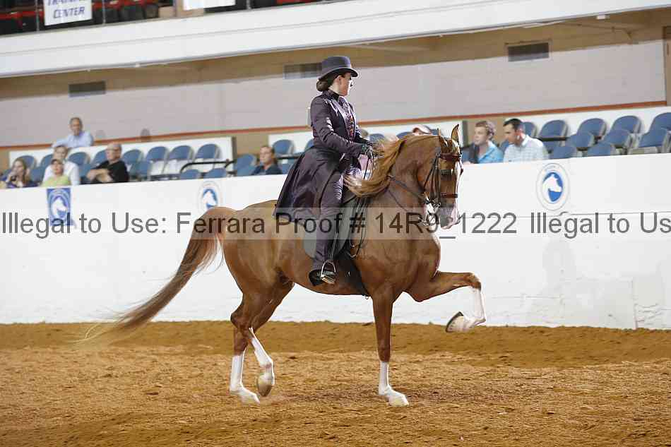 Proof Number 14r9_1222