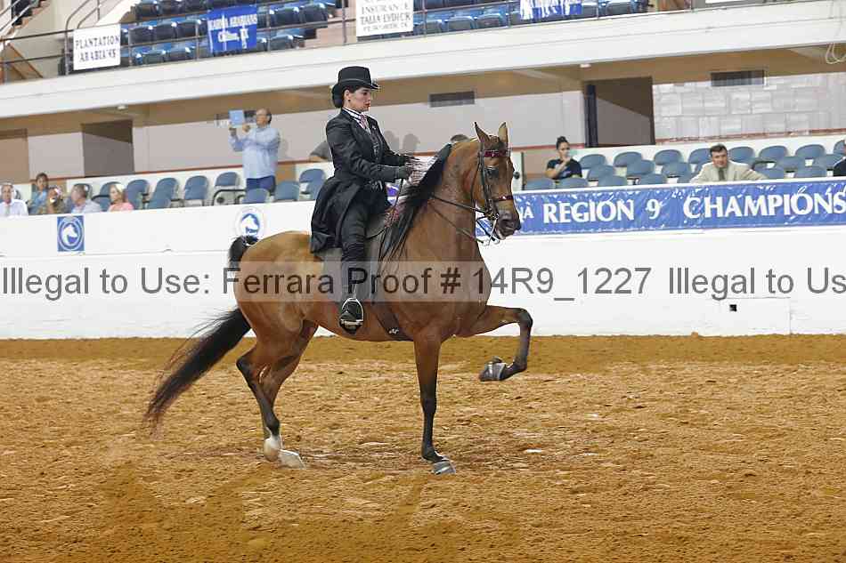 Proof Number 14r9_1227