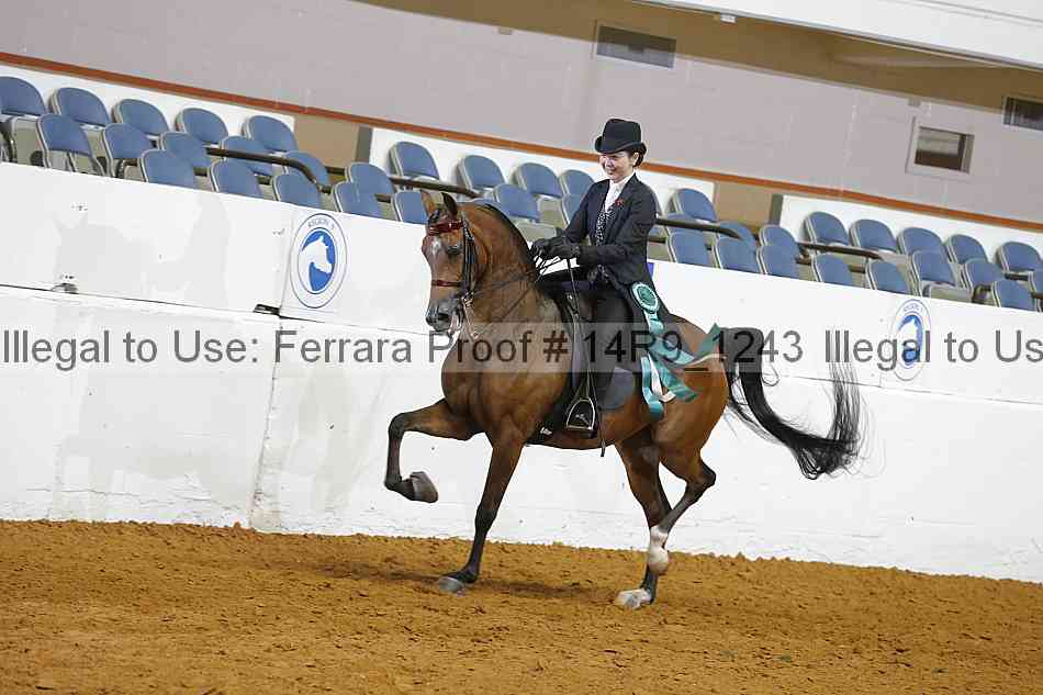 Proof Number 14r9_1243