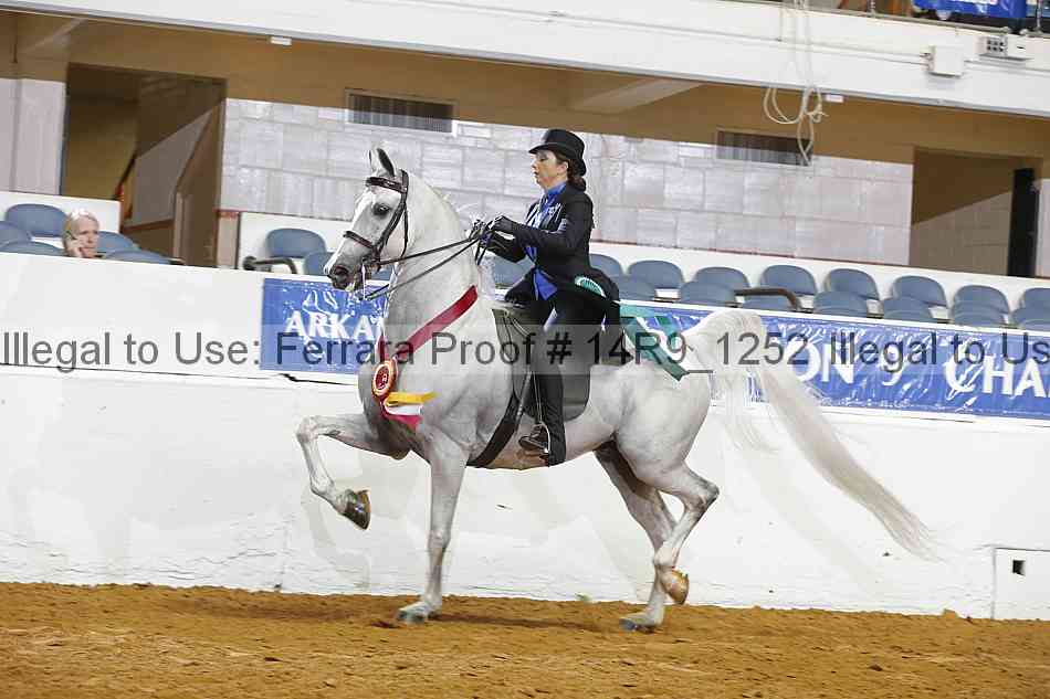Proof Number 14r9_1252