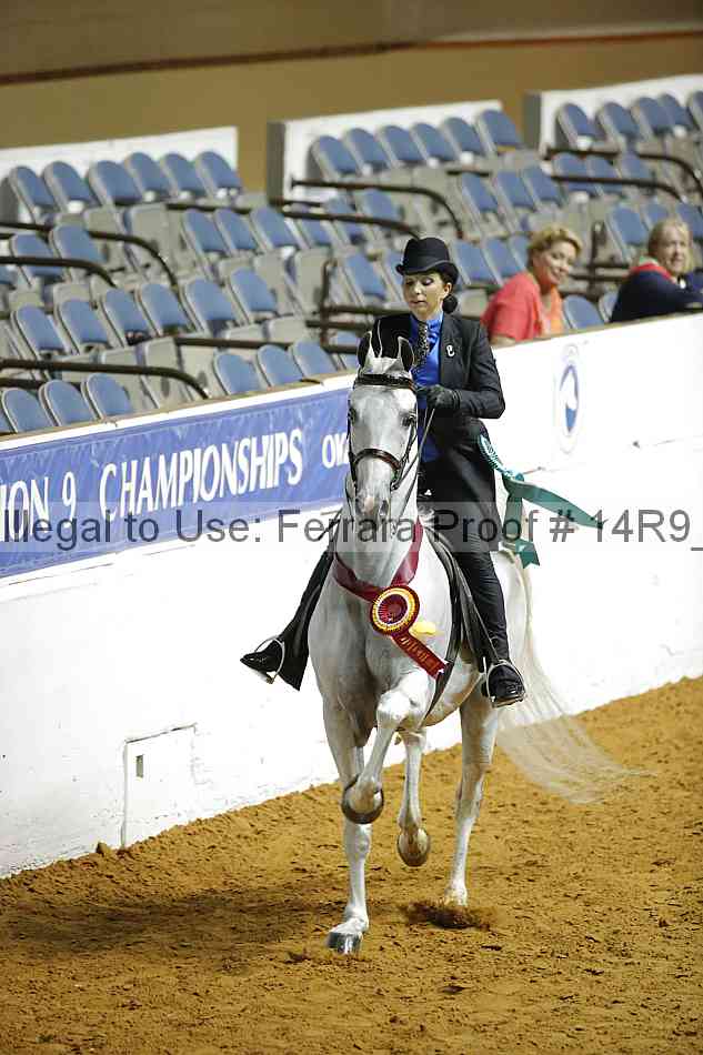 Proof Number 14r9_1254
