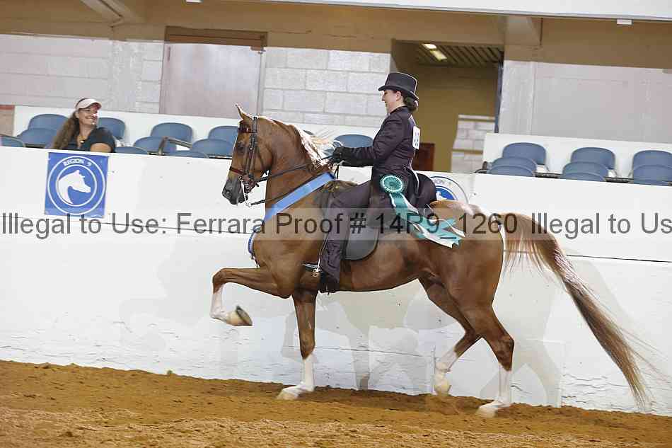 Proof Number 14r9_1260