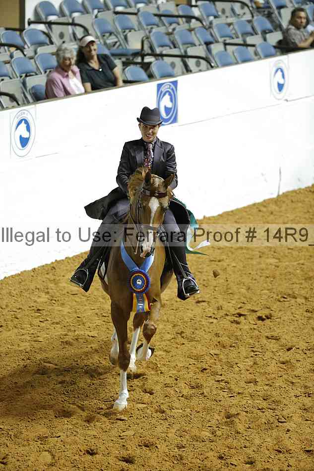Proof Number 14r9_1263