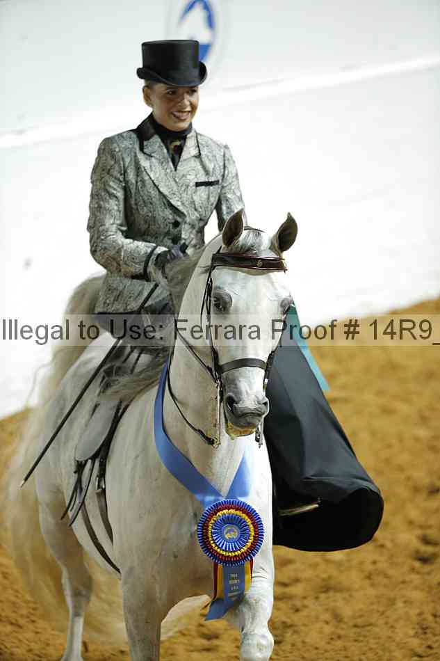 Proof Number 14r9_1294