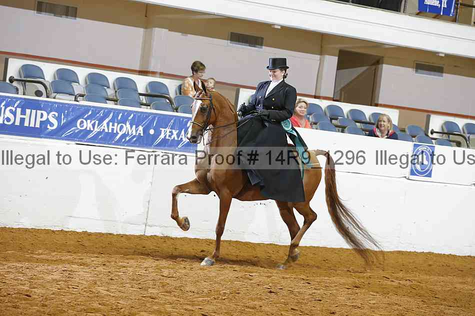 Proof Number 14r9_1296