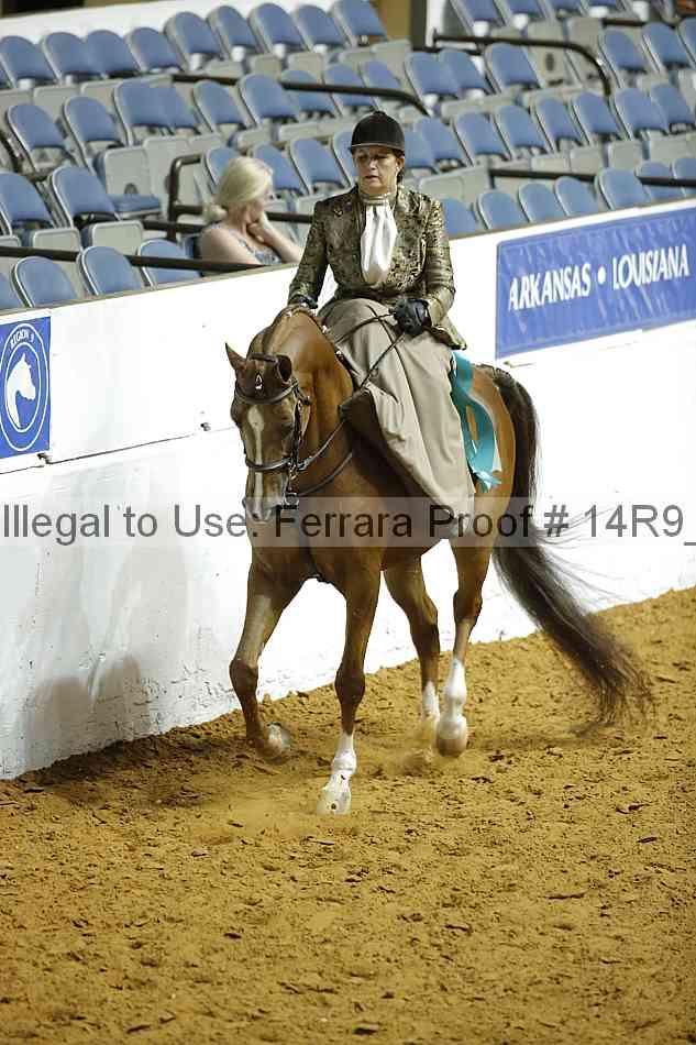 Proof Number 14r9_1302