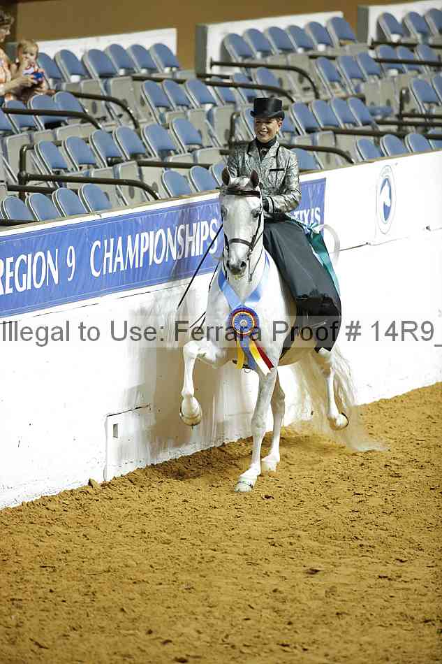 Proof Number 14r9_1314