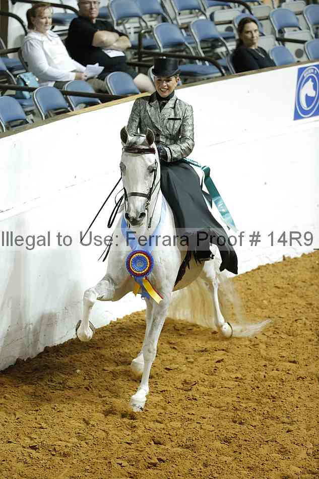 Proof Number 14r9_1316