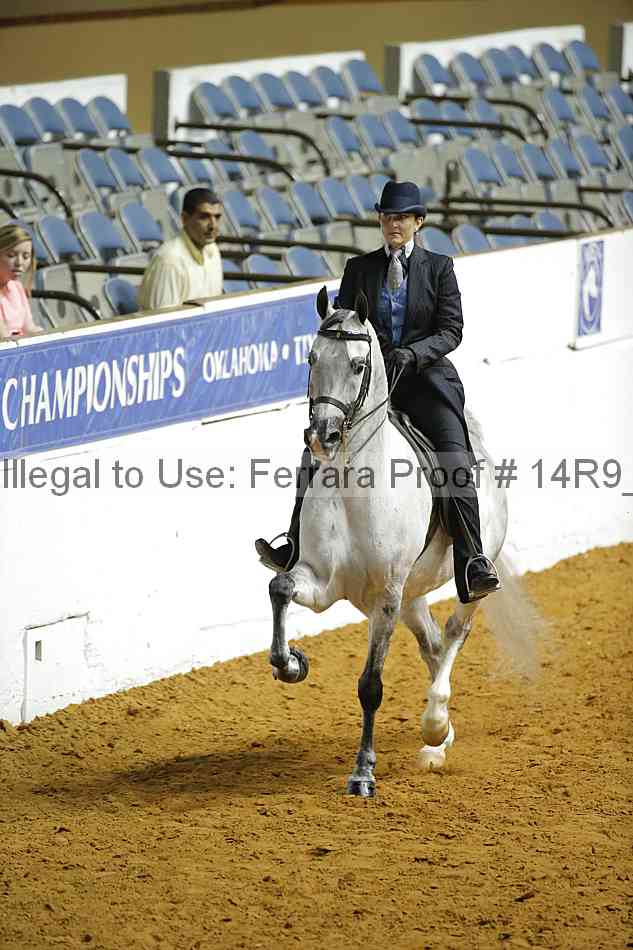 Proof Number 14r9_1333