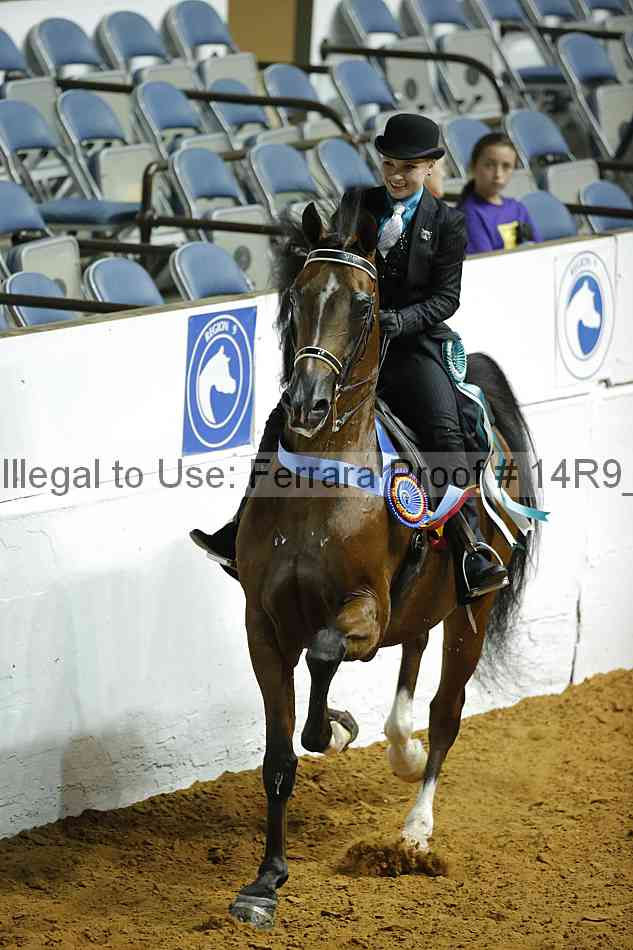 Proof Number 14r9_1355