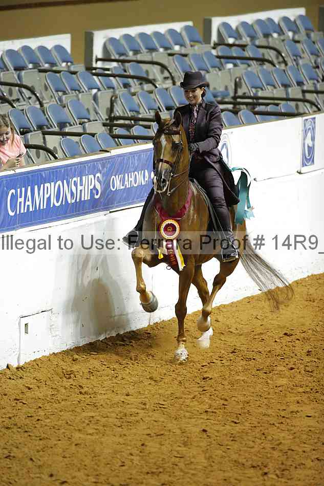 Proof Number 14r9_1366
