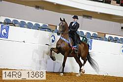 14r9_1368 thumbnail