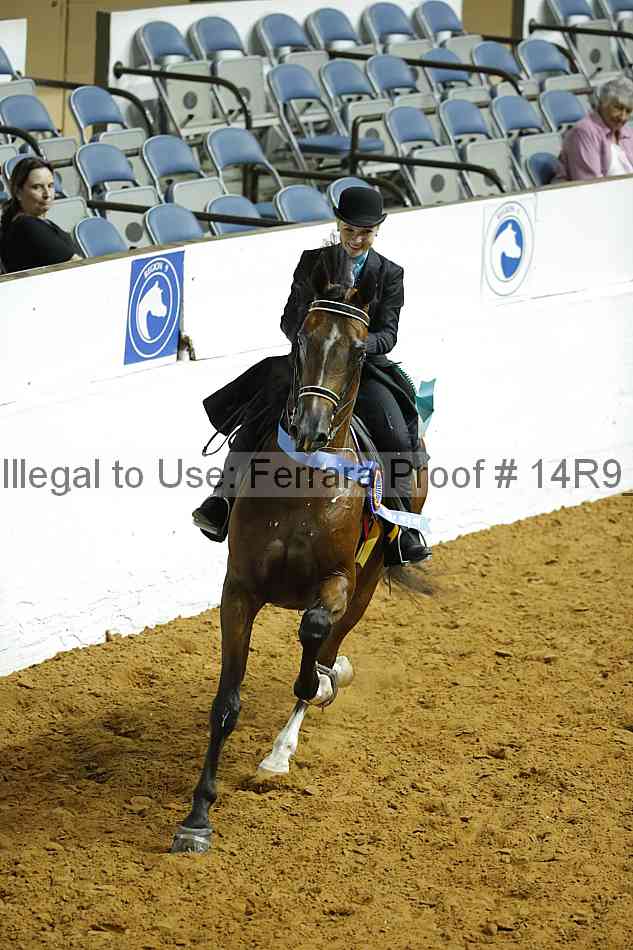 Proof Number 14r9_1373