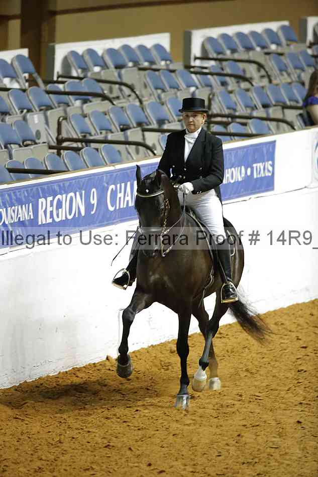 Proof Number 14r9_1378