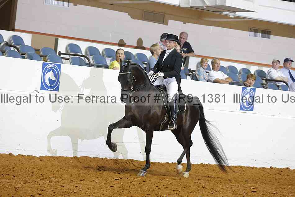 Proof Number 14r9_1381
