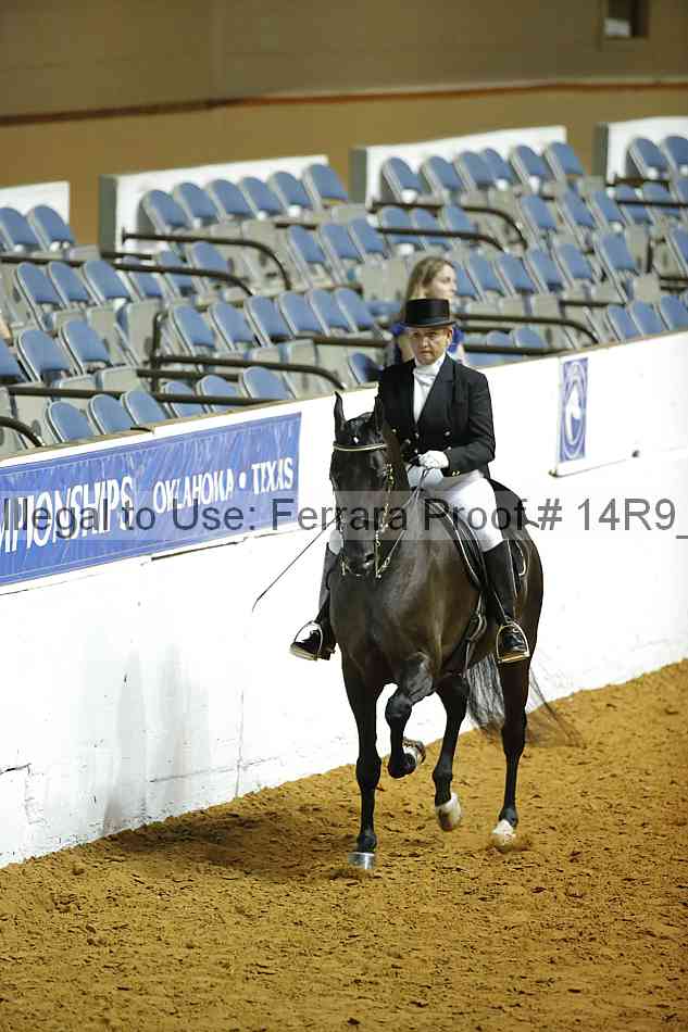 Proof Number 14r9_1391