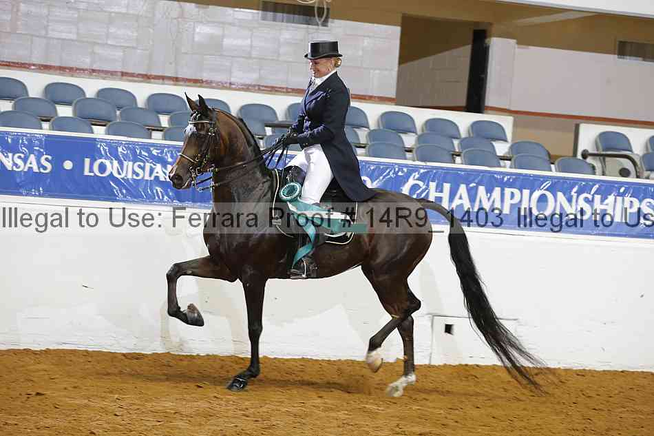 Proof Number 14r9_1403