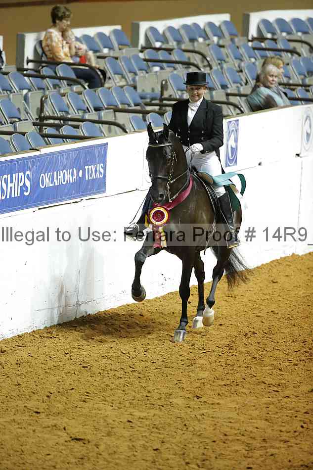 Proof Number 14r9_1409