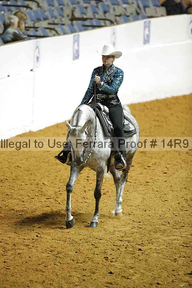 Proof Number 14r9_1439