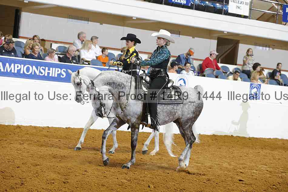Proof Number 14r9_1444
